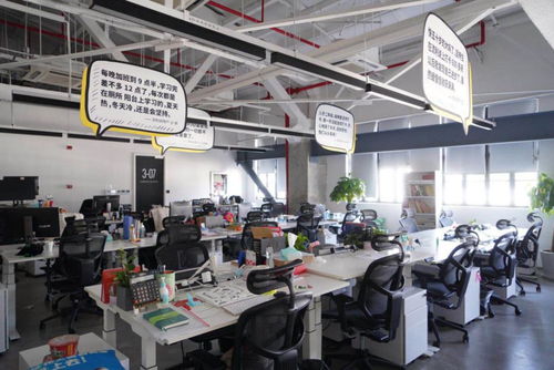 硬核 楊浦六家區管集團公司啟動租金減免政策落地