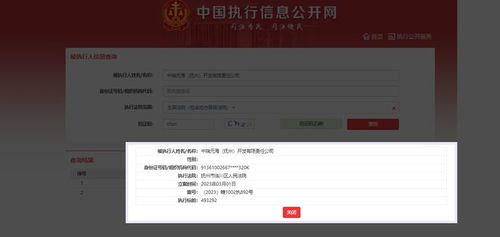 中瑞元海 撫州 開發被限制高消費,關聯對象為呂元慶