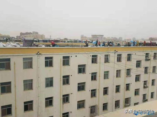 甘州區房地產經營管理公司認真開展 我為群眾辦實事 讓 老 居民享受 新 生活