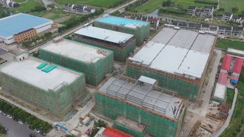 蘑菇小鎮 科技產業園 生態養豬場 金山這里的重點項目建設新進展