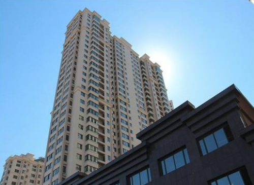 青年城邦多元化布局 實現企業飛速發展